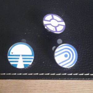 Epcot hidden mickey pins